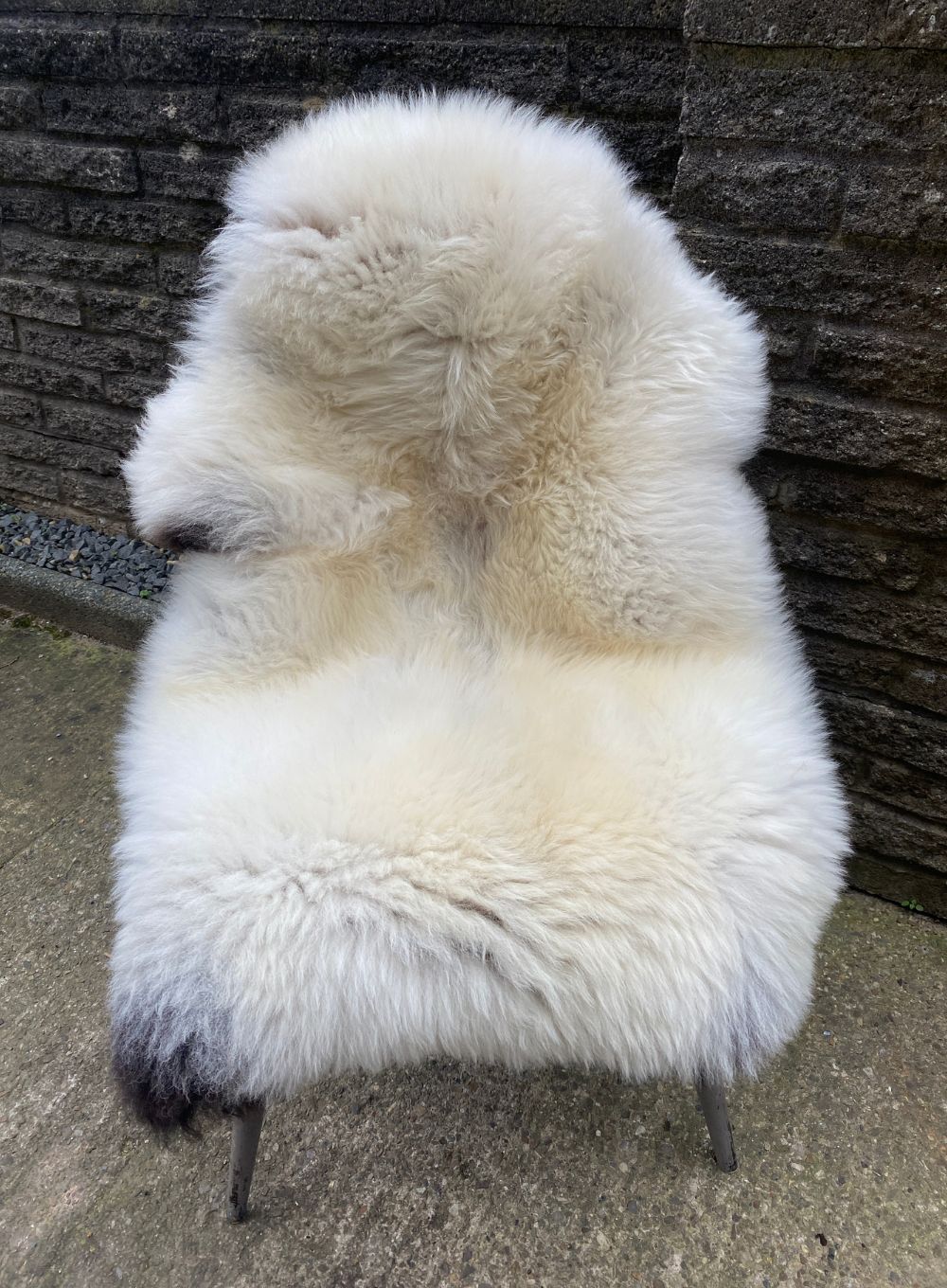 Cosy
