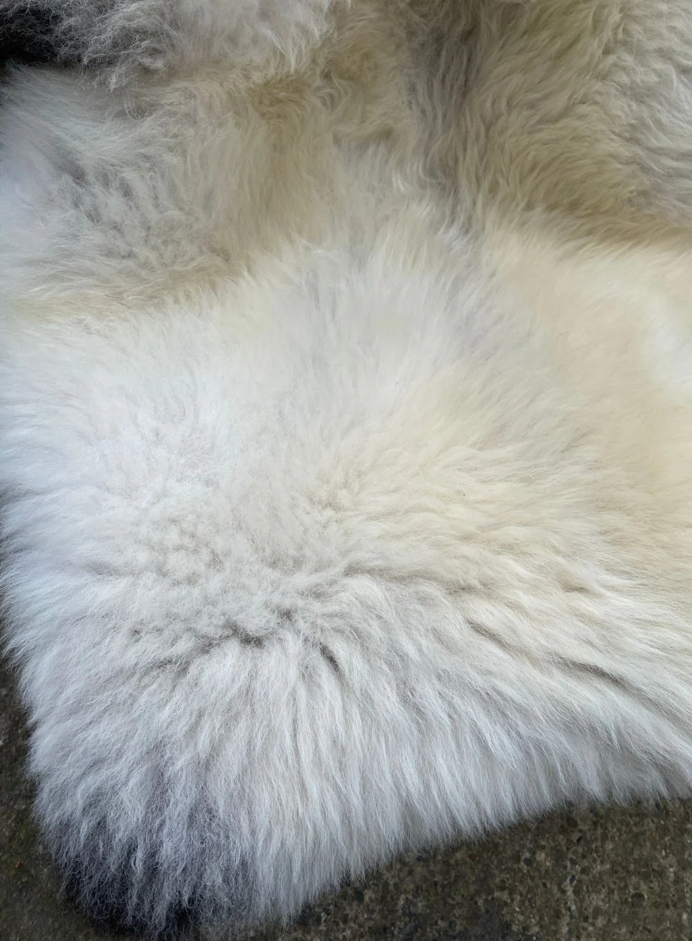 Nand Cream Speckled Badger Face British Sheepskin Rug - Image 4