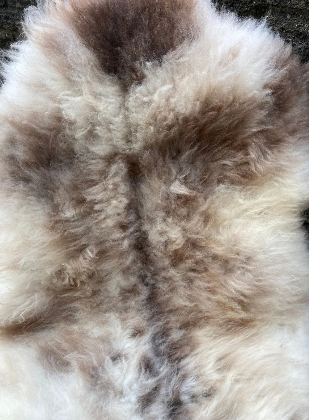 Kacey Speckled British Sheepskin Rug - Image 4