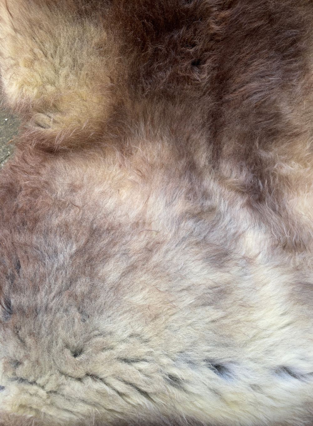 Farringdon Brown and Gold Speckled British Sheepskin Rug - Image 2
