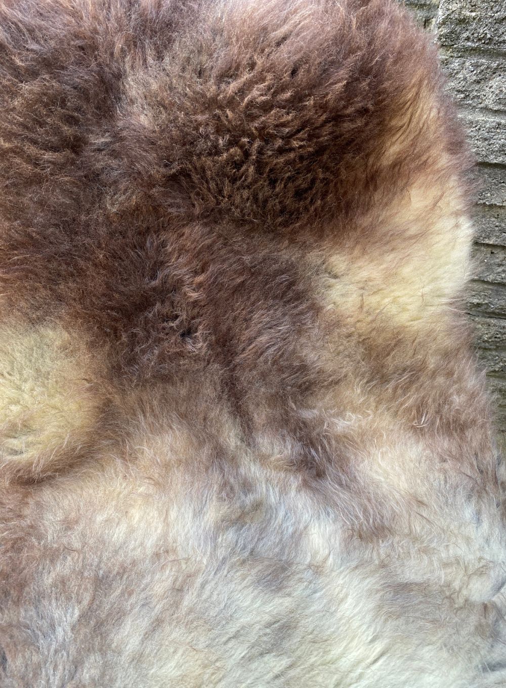 Farringdon Brown and Gold Speckled British Sheepskin Rug - Image 4