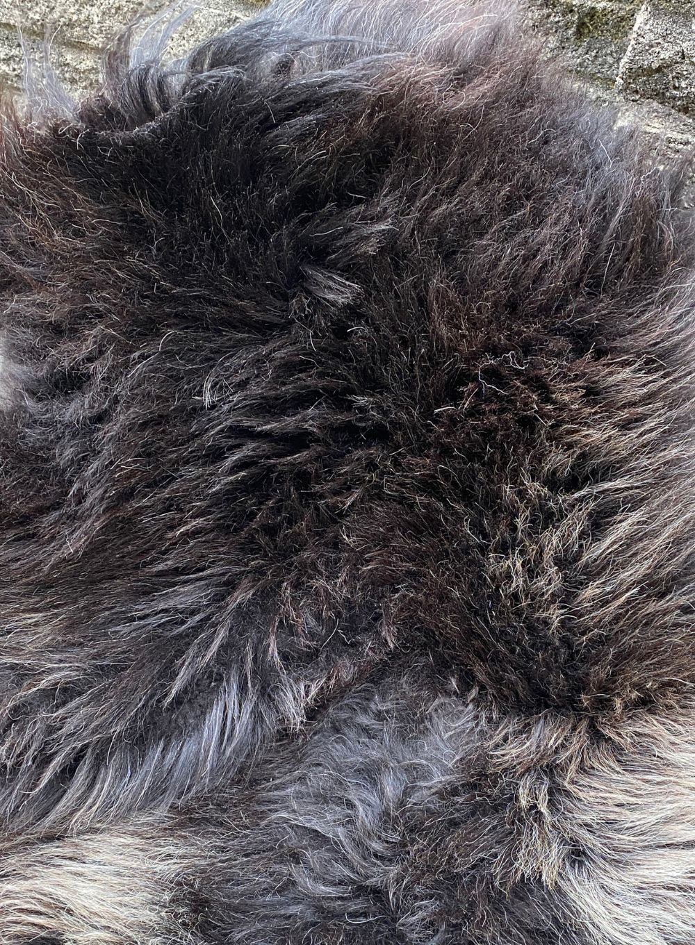Kilburn Brown British Sheepskin Rug - Damaged Second - Image 4