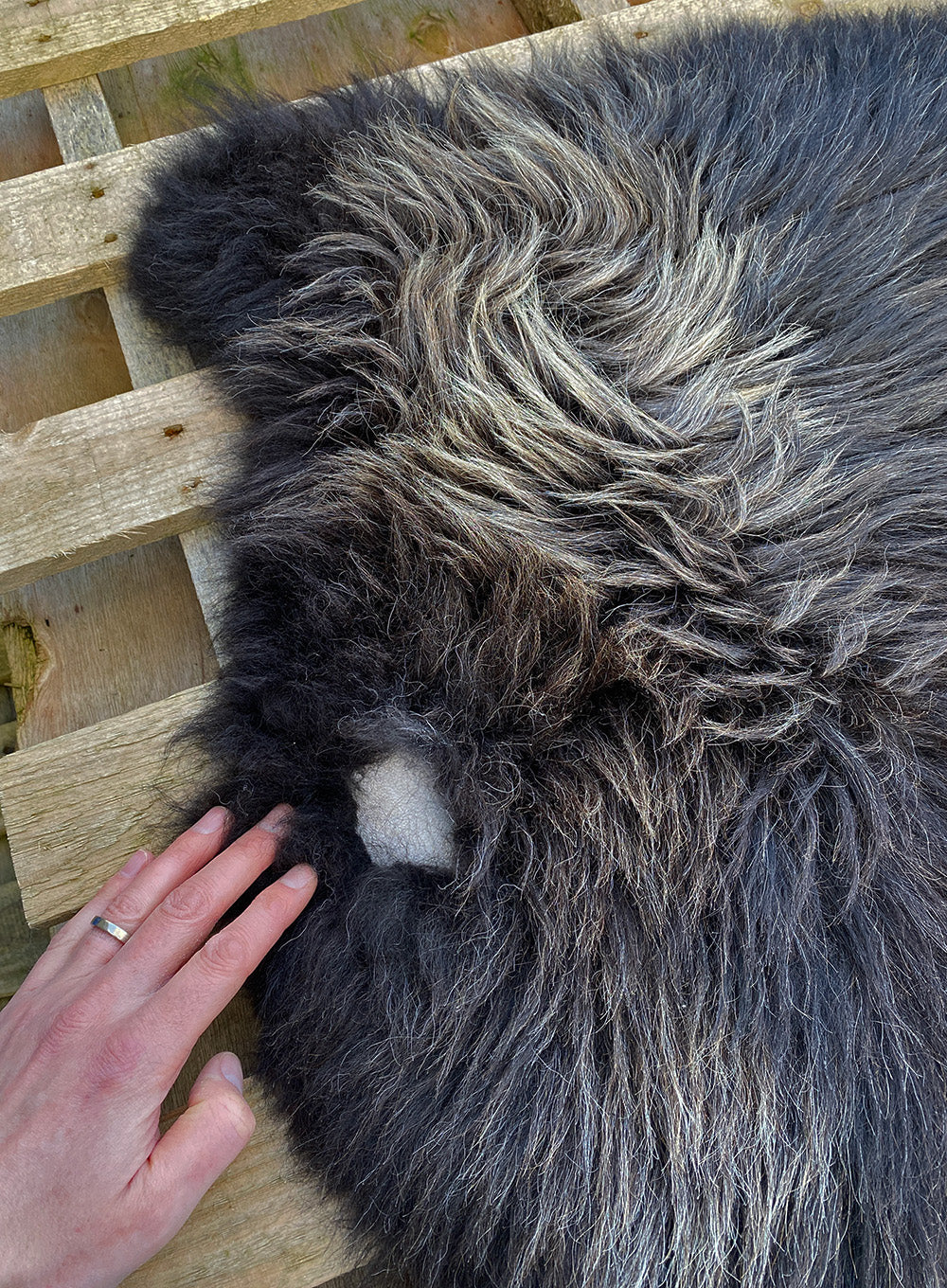 Kilburn Brown British Sheepskin Rug - Damaged Second - Image 5