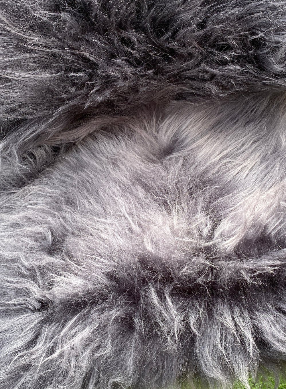 Dark Grey Icelandic Sheepskin Rug - Image 4