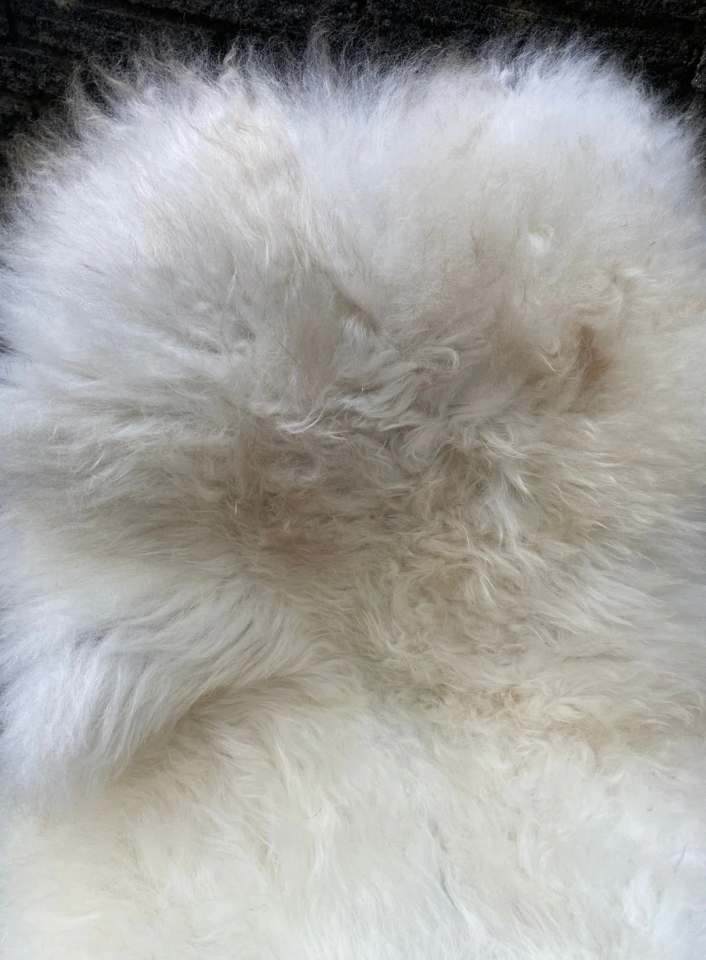 Barnet Cream British Sheepskin Rug - Image 4