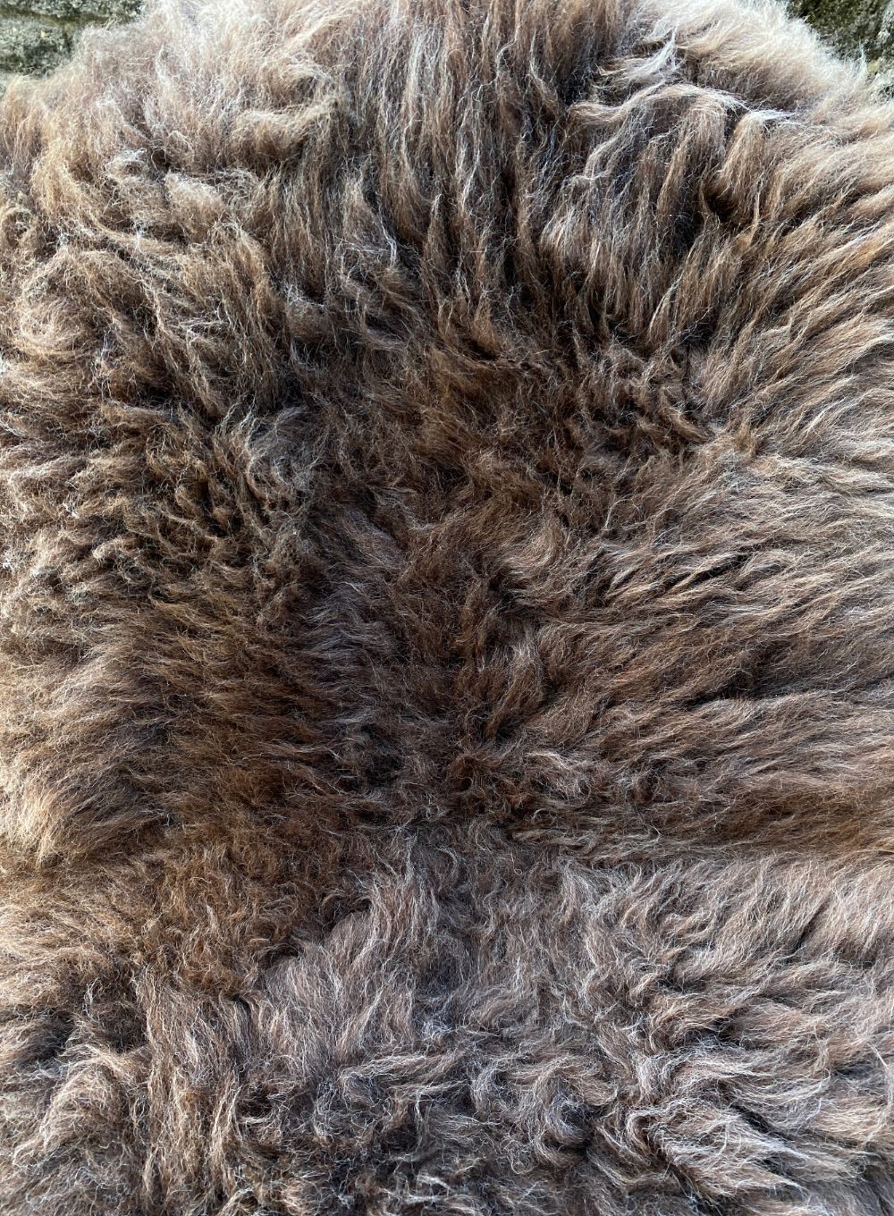 Collier Thick Brown British Sheepskin Rug - Image 3