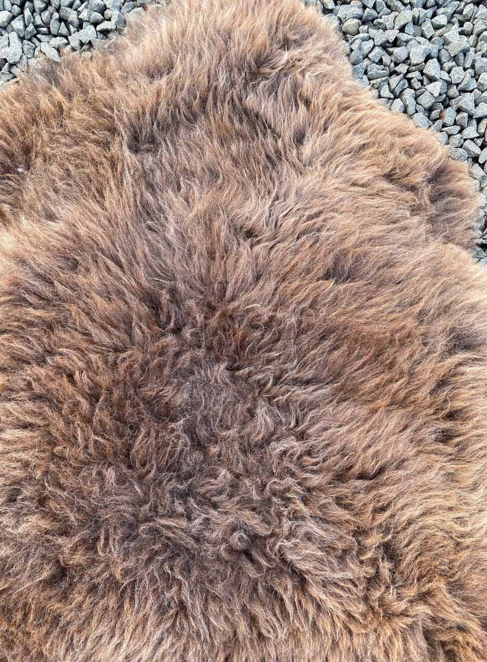 Collier Thick Brown British Sheepskin Rug - Image 5