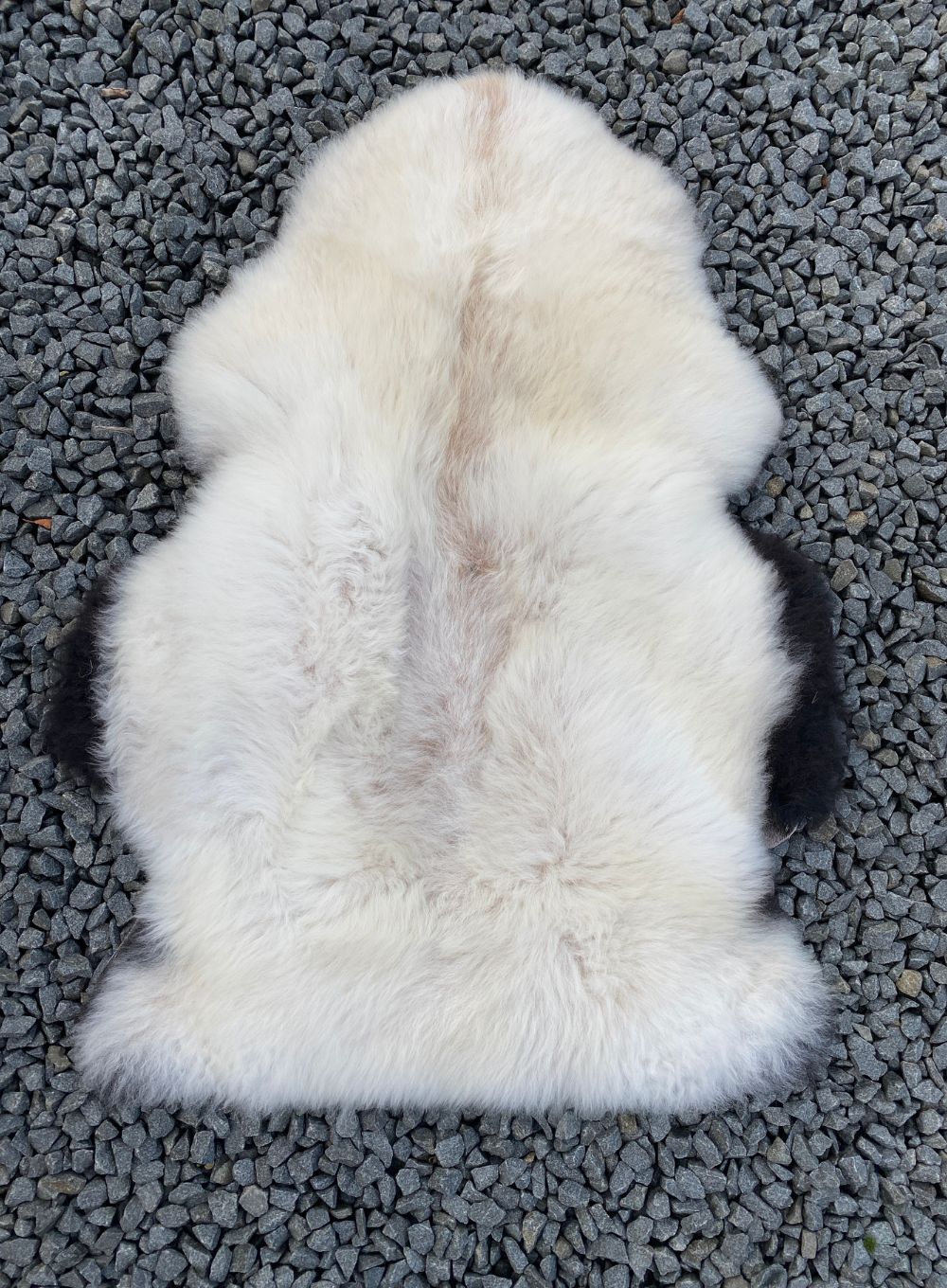 Brixton Cream Badger Face Welsh Mountain Sheepskin Rug - Image 3