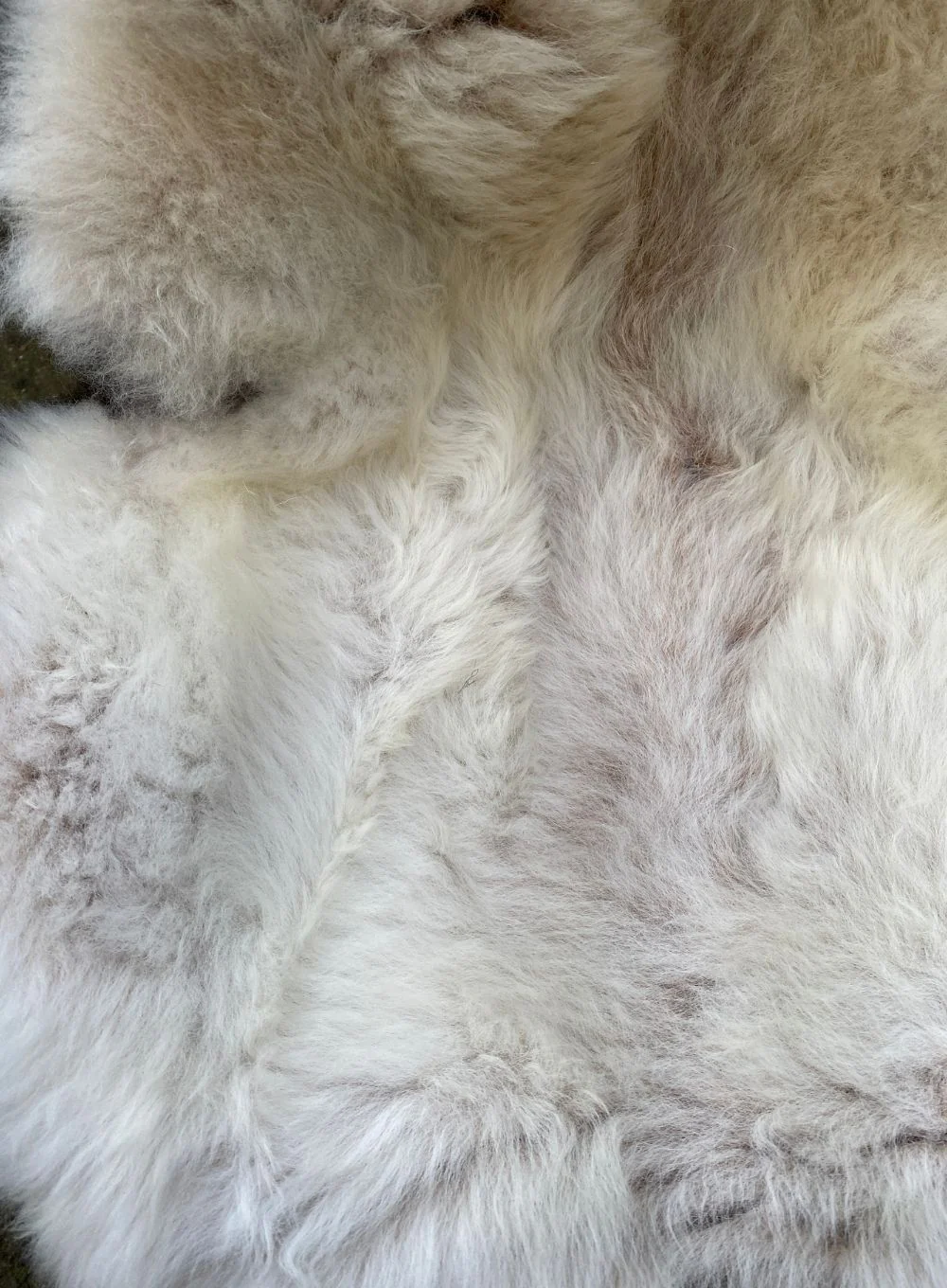 Brixton Cream Badger Face Welsh Mountain Sheepskin Rug - Image 4