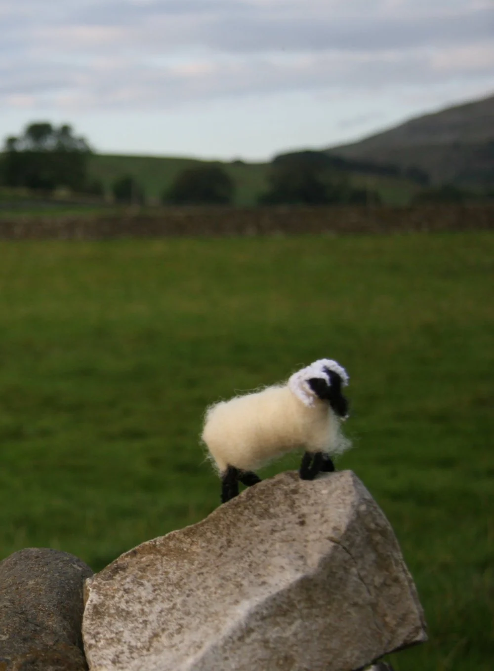 Glen the Glencroft Model Sheep - Image 3