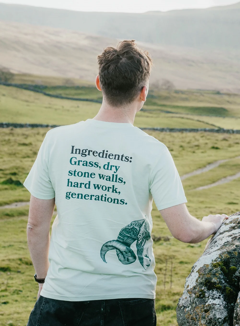 Glencroft Ingleborough Sheep T-Shirt - Image 2