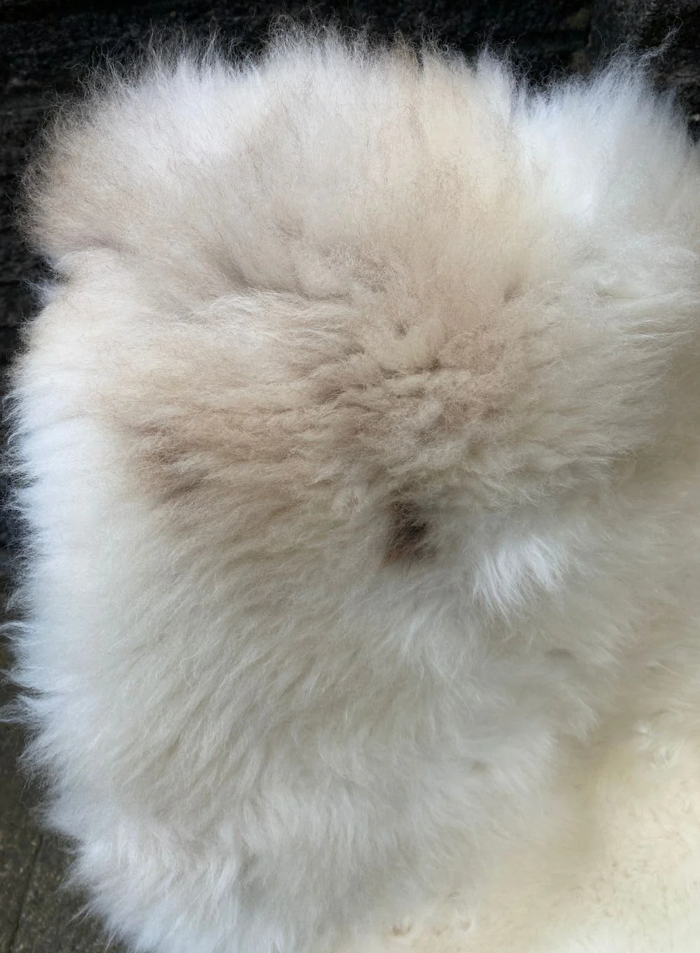 Swift Cream Speckled British Sheepskin Rug - Image 2