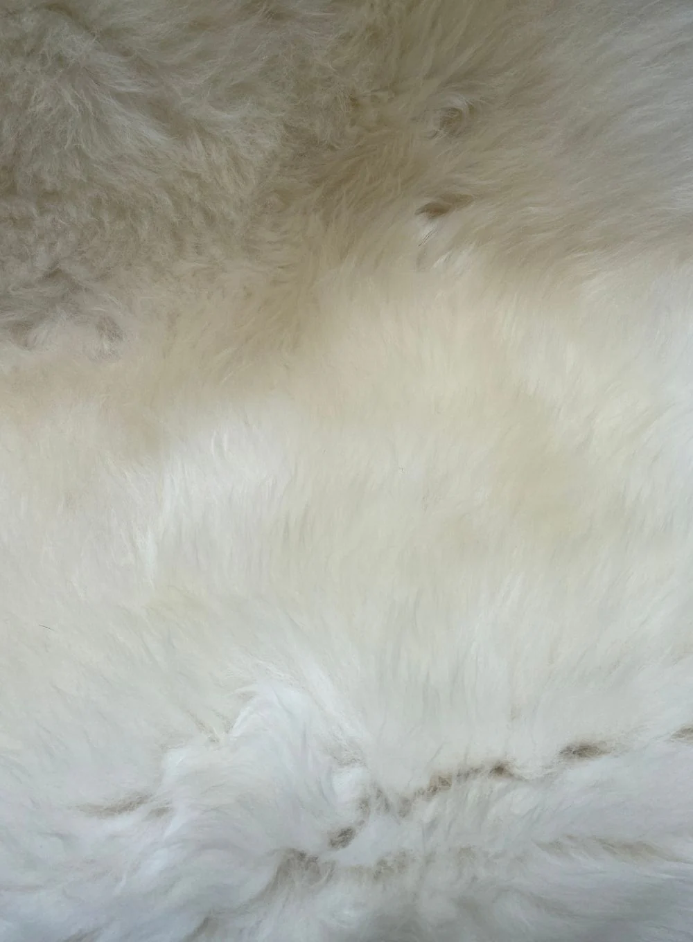 Swift Cream Speckled British Sheepskin Rug - Image 4