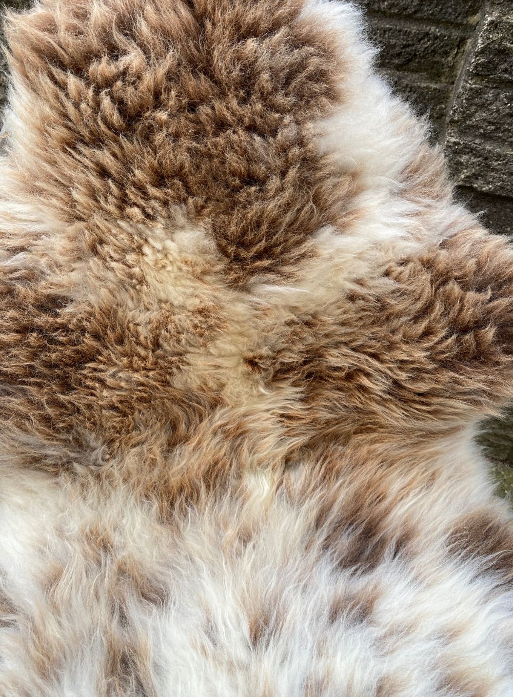 Boston Spotty Cream and Brown British Sheepskin Rug - Image 2
