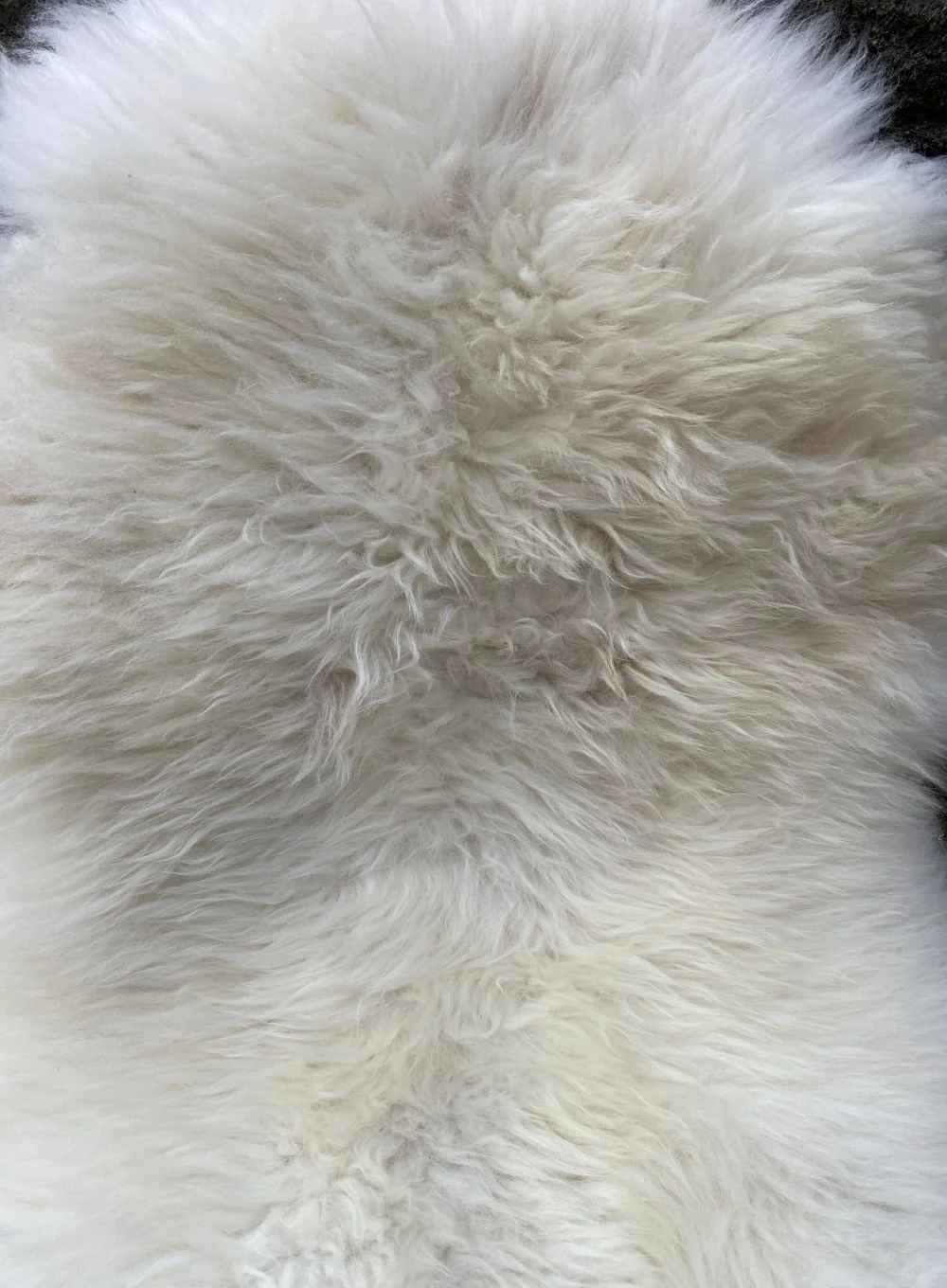 Kensal Cream Patch British Sheepskin Rug - Image 4