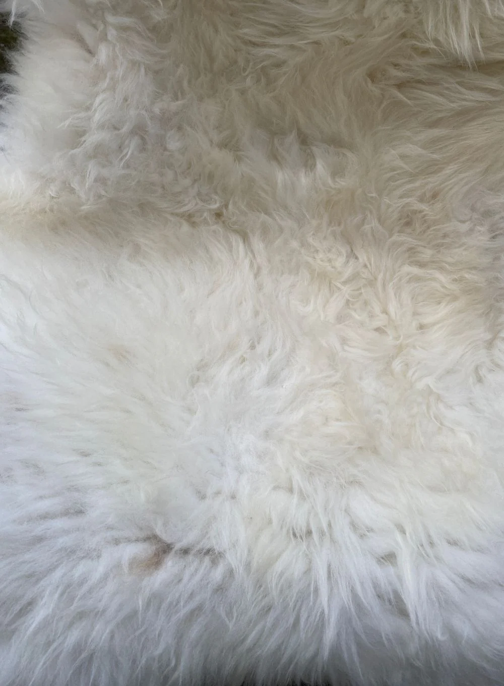 Holburn Natural Cream British Sheepskin Rug - Image 4