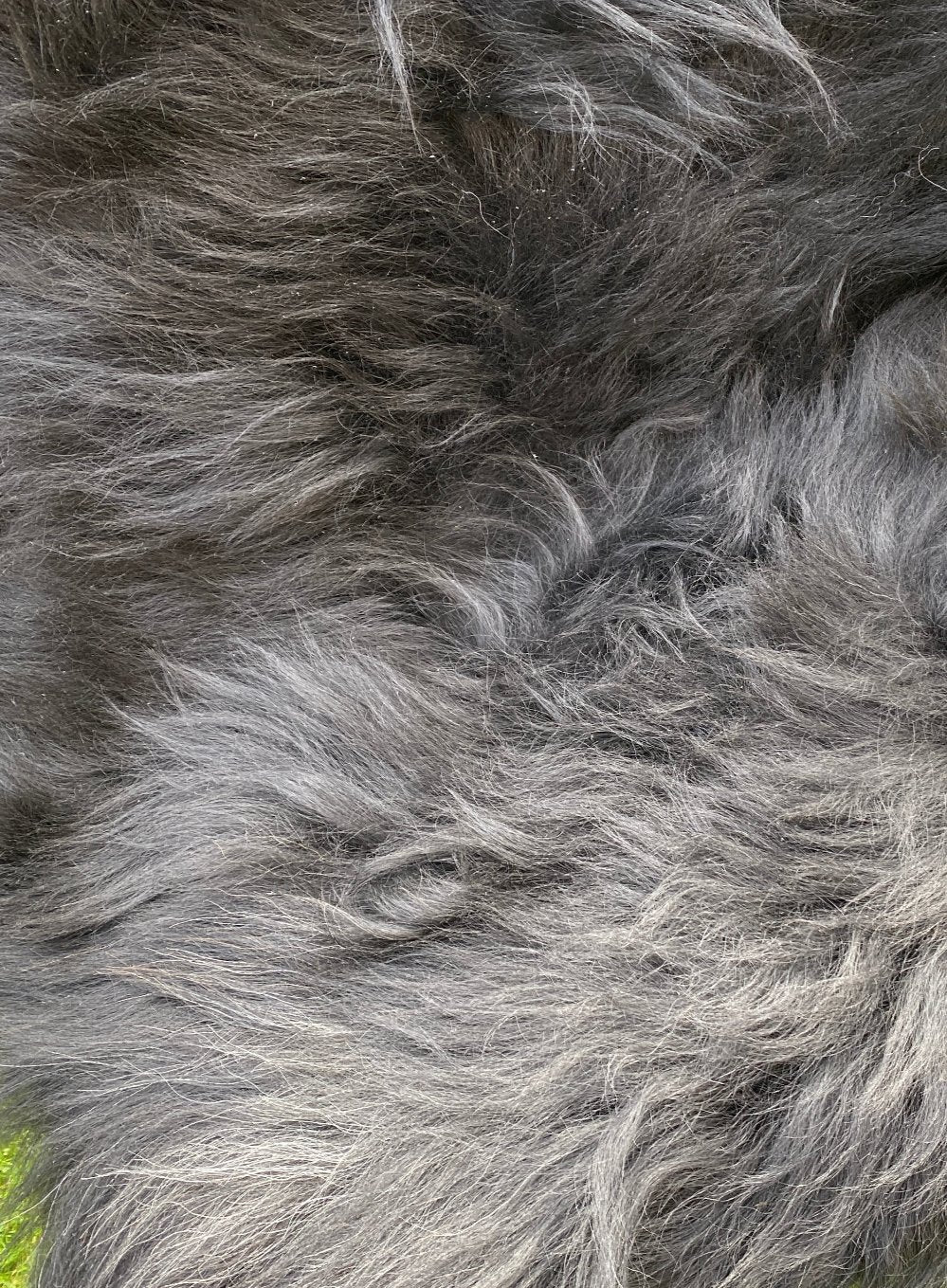 Natural Black Icelandic Sheepskin Rug - Image 4