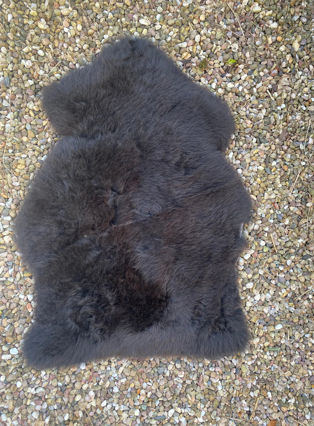 Natural Brown British Sheepskin Rug - Standard Size - Image 4