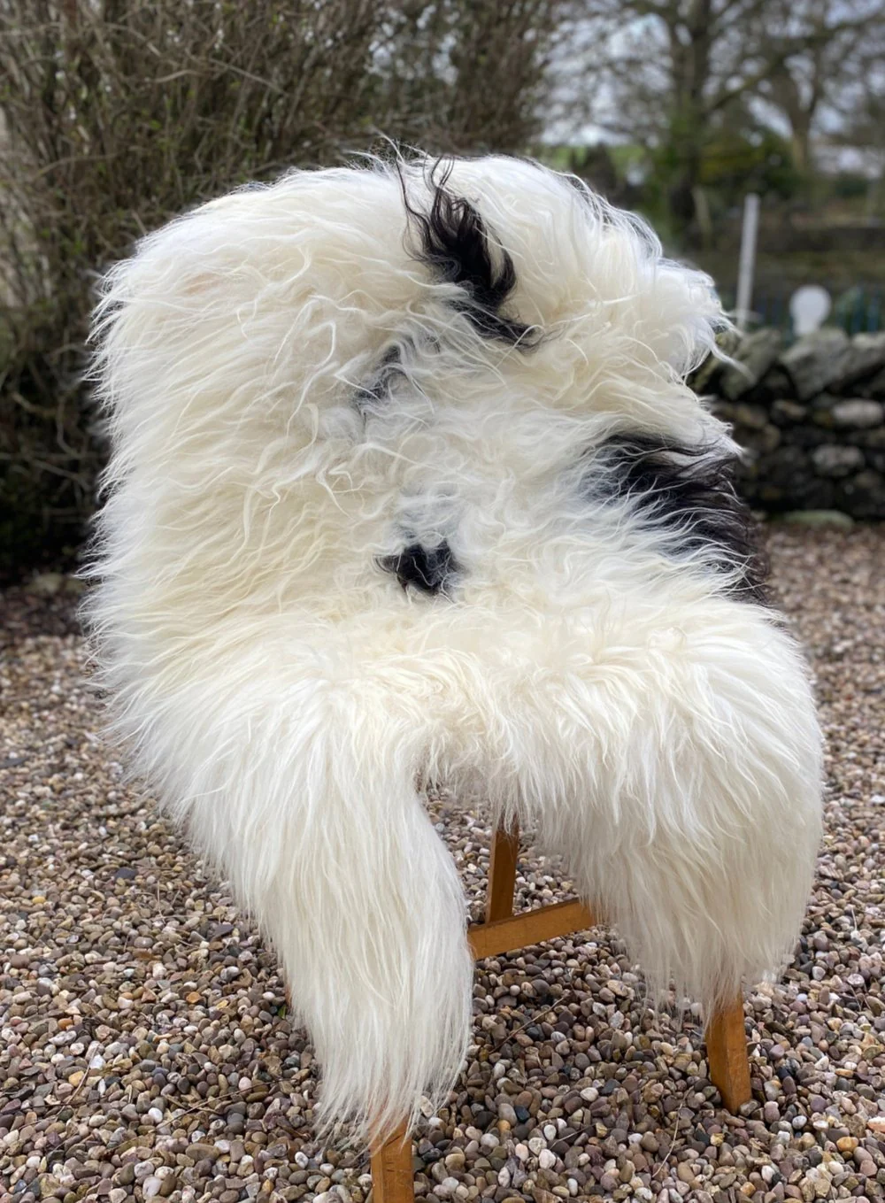 Natural Spotty Black White Icelandic Sheepskin Rug - Image 10