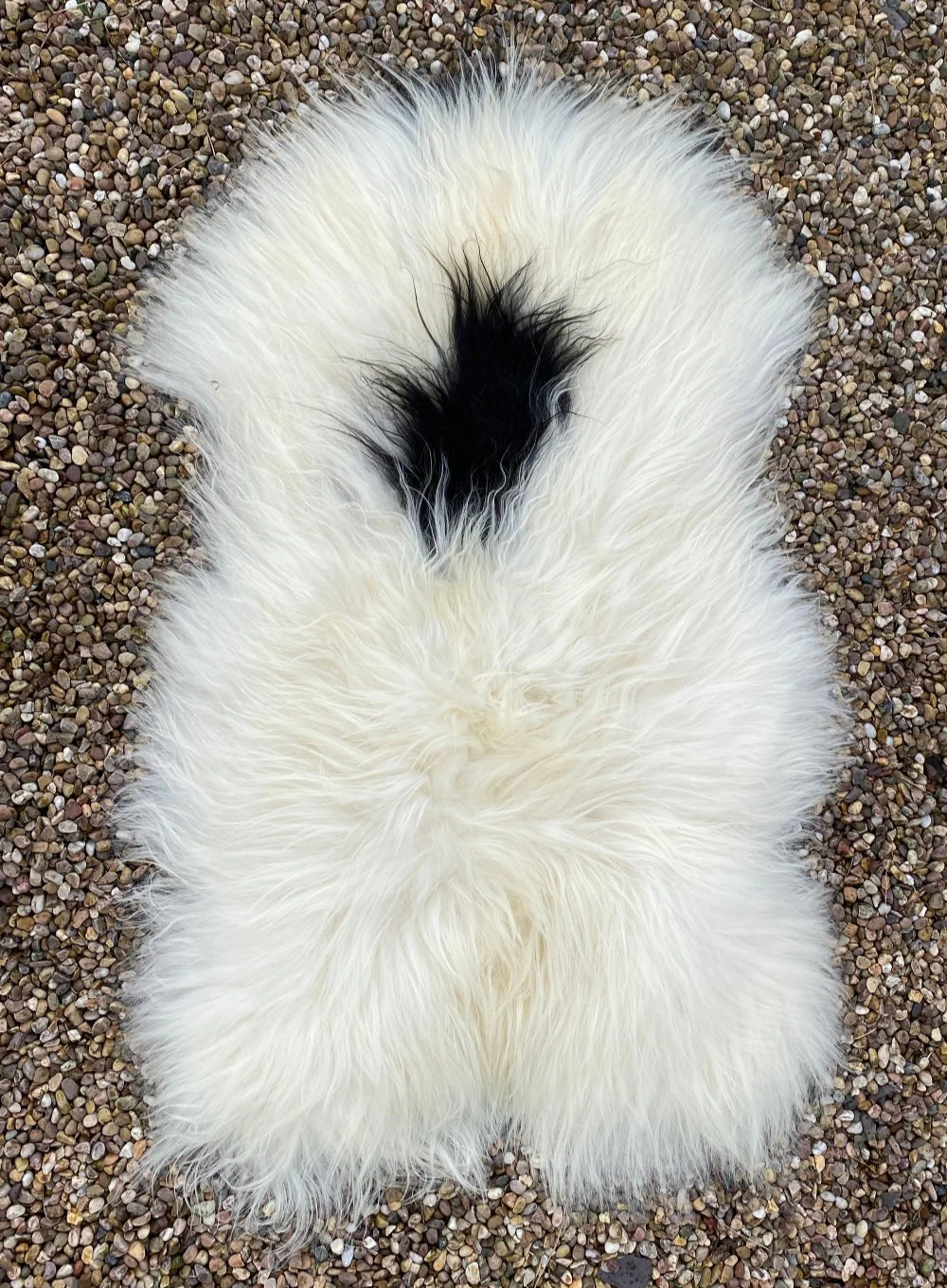 Natural Spotty Black White Icelandic Sheepskin Rug - Image 11