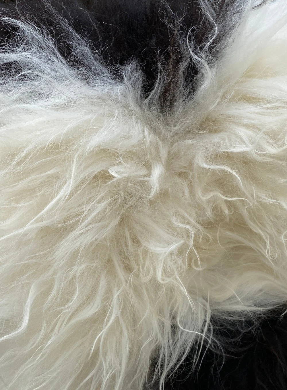 Natural Spotty Black White Icelandic Sheepskin Rug - Image 7