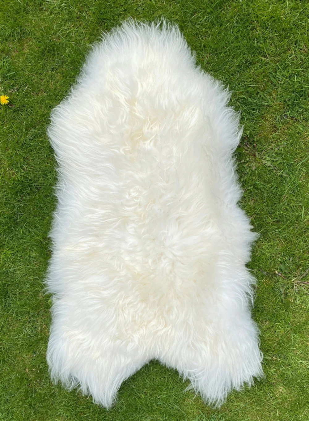 Natural White Icelandic Sheepskin Rug - Image 6