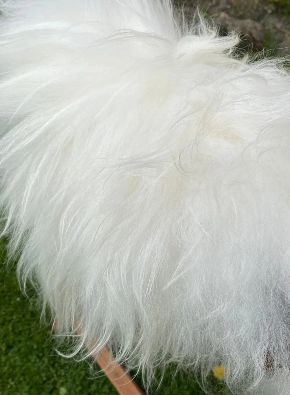 Natural White Icelandic Sheepskin Rug - Image 7