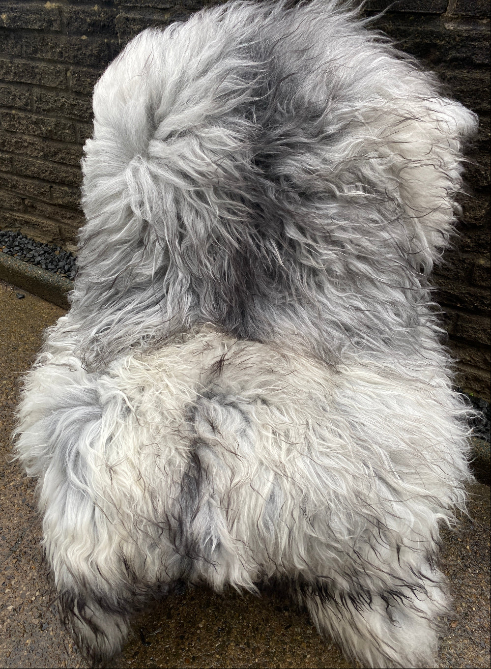 Dollis One-Off Large Natural Grey and Cream Icelandic Sheepskin Rug