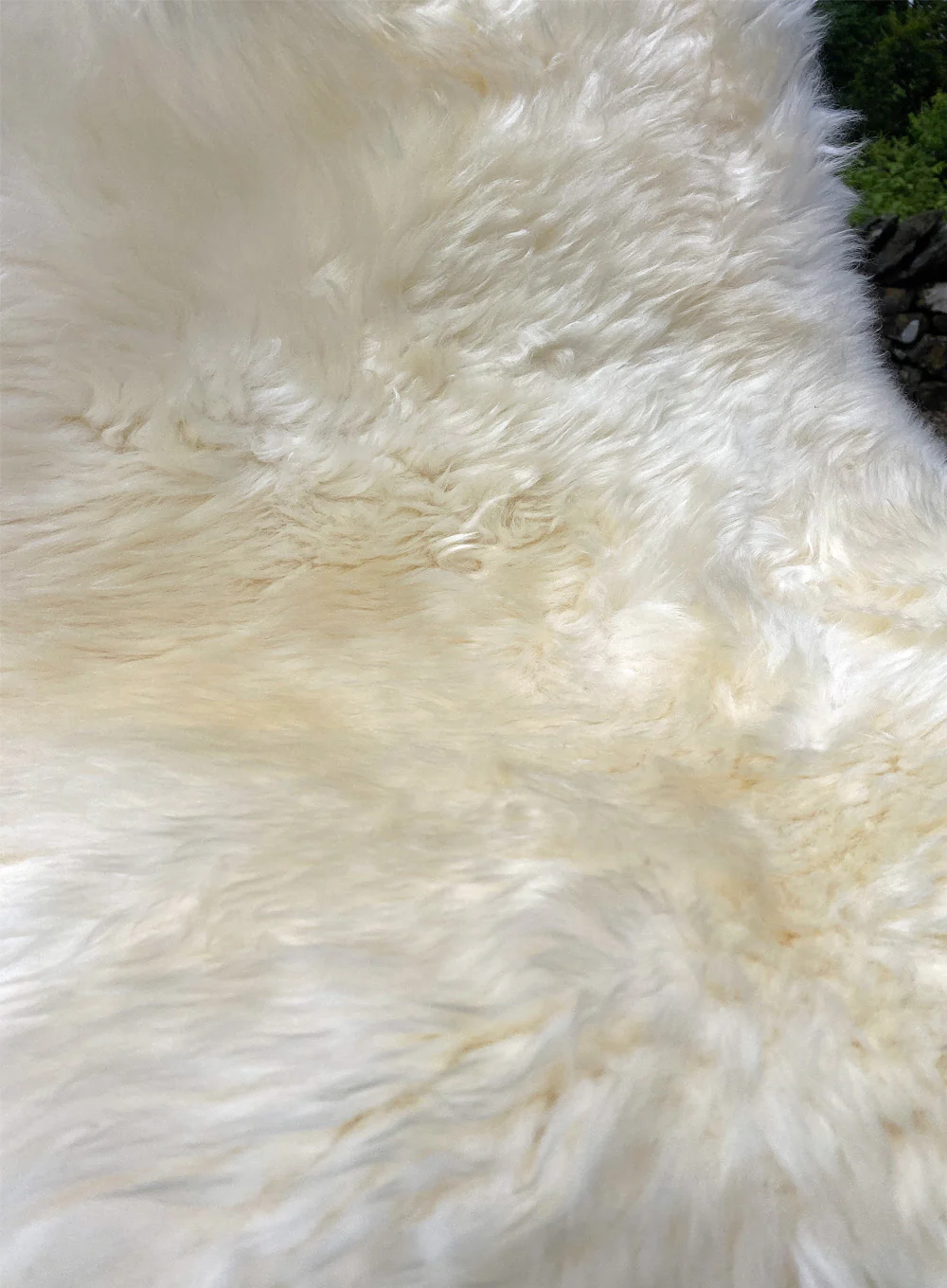 Double Natural Cream Sheepskin Rug - Image 4