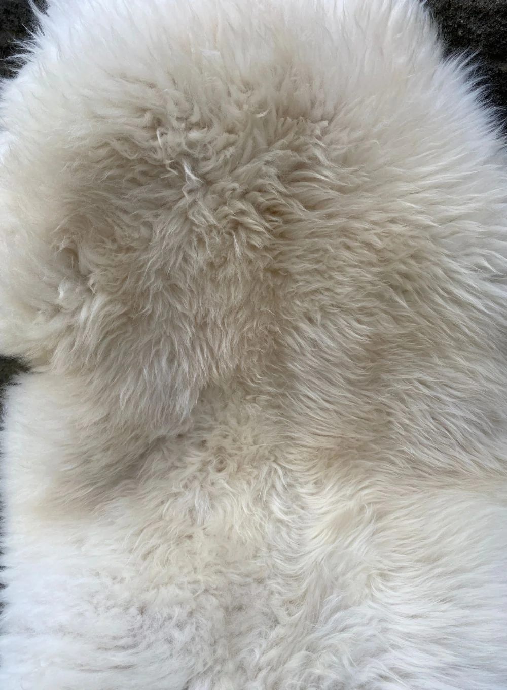 Musgrove Large Cream British Sheepskin Rug - Image 4