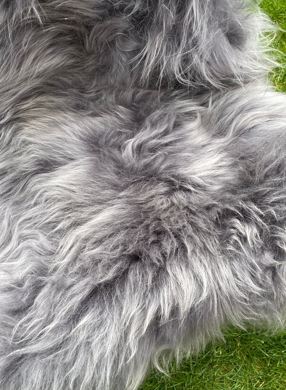 Slate Grey Icelandic Sheepskin Rug - Image 3